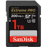 sandisk sdsdxxd1t00gn4in