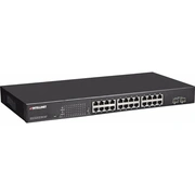 intellinet 560559