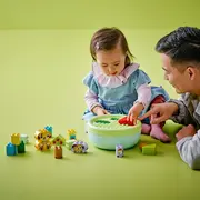 lego 10441