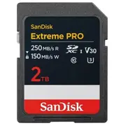 sandisk sdsdxxd2t00gn4in