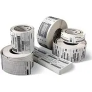 zebra 800263205