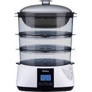 amica pt3011