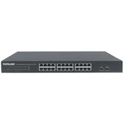 intellinet 561044