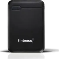 intenso 7313530