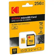 kodak tmlx60613