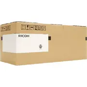 ricoh d2442229