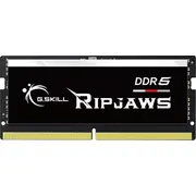 gskill f55600s4040a32gx1rs