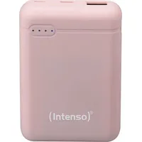 intenso 7313523
