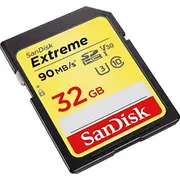 sandisk sdsdxwt032ggnci2