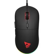 savio savgmgambit