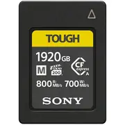 sony ceam1920t