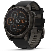 garmin 0100290711