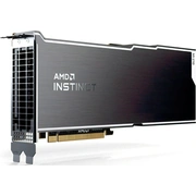 amd 100300000008h