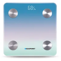 blaupunkt bsm601bt