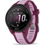 garmin 0100286333