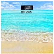 brock bs 002