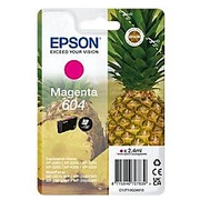 epson c13t10g34010