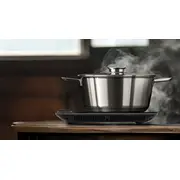 evolveo inductpro2