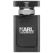karl lagerfeld 3386460059190
