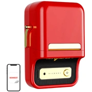 niimbot b21s red
