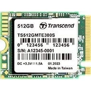 transcend ts512gmte300s