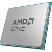 amd 100000001286