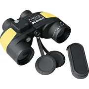 braun phototechnik 01443