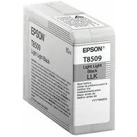 epson c13t850900