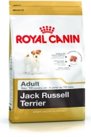royal canin jack russell terrier adult