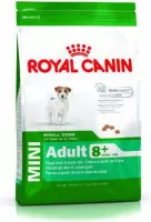 royal canin shn mini