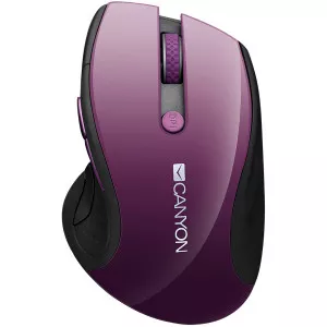 24ghz wireless mouse optical tracking blue