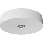 Awex O awaryjna Ax3N Ip20 Led 1W Opt.  1H jednozadaniowa Ax3N/O/1W/B/1/Se/X/Wh 5902869550250