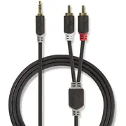 Kabenedis Aux 3.5Mm - 2X Rca 1M 5412810265015 Cabw22200At10 