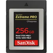 Karta Sandisk Extreme Pro Cfexpress 256 Gb  Sdcfe-256G-Gn4Nn 0619659180843 722794