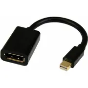 Av Startech Displayport Mini -  Mdp2Dpmf6In 065030843300