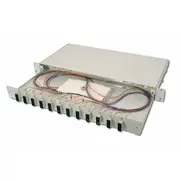 Digitus Professional  wodu 6 Portów Sc 1U Dn963203 Dn-96320/3 4016032278320