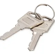 Digitus Zub Schlüssel für Ladeschränke  Dn-45000-Key 4016032487326
