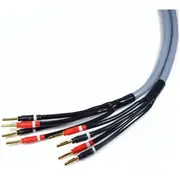 Kabel Melodika Banan x4 - 3.5M  05907609000460