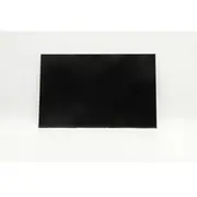 Lenovo Display 11.6Hd Tn Ag N-Touch 2  5704174804963