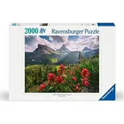 Ravensburger Puzzle Kraj 2000  4005555014157