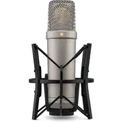 Røde Nt1 5Th Generation Silver - condenser microphone  Nt1Gen5 698813010523 Misrdemik0060
