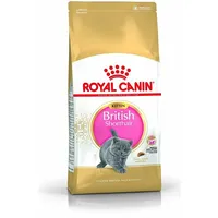 Royal Canin British Shorthair Kitten karma sucha12 miesiąca,  2Kg Vat006468 3182550816533