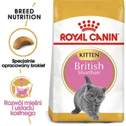 Royal Canin British Shorthair Kitten cats dry food 2 kg Poultry, Rice, Vegetable  Amabezkar1028 3182550816533