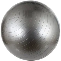 Gym Ball Avento 42Ob 65Cm Silver  531Sc42Obslv 8716404332501