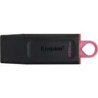 Kingston Technology Datatraveler Exodia - Usb 3.2 Flash Drive  Dtx/256Gb 740617310023 Pamkinfld0393