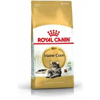 Royal Canin Maine Coon Adult karma sucha dorosłych maine coon 0.4Kg  13568 3182550710633