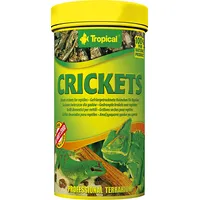 Tropical Crickets 100Ml 29549  5900469111932