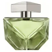 Britney Spears Believe Edp 100 ml  719346117722 0719346117722