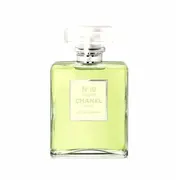 Chanel  N19 Poudre Edp 100 ml 3145891194906