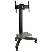 Ergotron  podłogowy 24-192-085 50 - 75 0698833016154